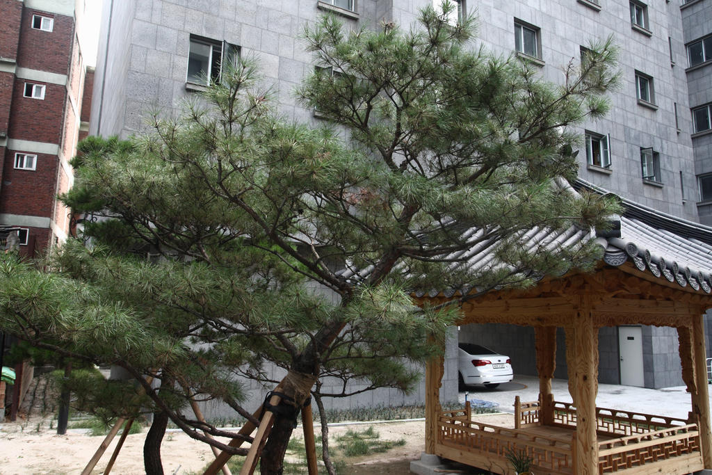 סיאול Fortune Hostel Jongno מראה חיצוני תמונה